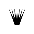 ナナズグリーンティー公式アプリ icon