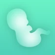 Wehen - Wehenzähler 9m icon