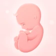 Meine Schwangerschaft icon