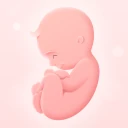 Minha gravidez semana a semana icon