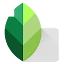 Snapseed icon
