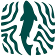 onWater Fish - Fishing Spots icon