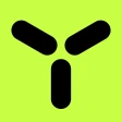 Yellenge icon
