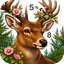 Magical Forest Color by Number icon