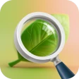 Cuidado de plantas icon