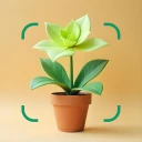 花の名前を調べる: しょくぶつ図鑑 - 樹木判別