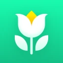 Plant Parent: Plant Care Guide
