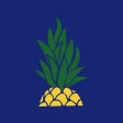 Pokawa – Poke bowl delivery icon