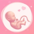 SSW:, schwangerschaft icon