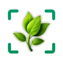 Identificateur de plantes