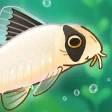 Pondlife — Fish, Frogs & More! icon