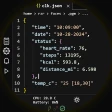 Programmer Watch Face icon