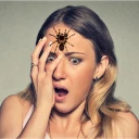Spider Face Prank GUIDE