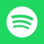 Spotify Lite icon