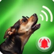 Cão Toque de chamada Wallpaper icon