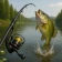 Fishing Clash : jeu de sport icon