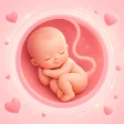 Baby Tracker: Pregnancy App icon