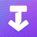 Any Video Downloader | SSSTik icon