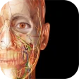 Visible Body Suite icon