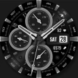 WFP 308 Business watch face icon