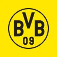 BVB icon