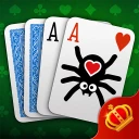 Spider Solitaire Online & Solo