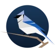 BirdNET Live icon