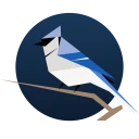 BirdNET Live