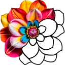 Bubble Color icon