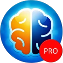 Denkspiele Pro