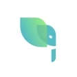 Meesman icon