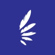 ROCMN Pocket icon