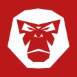 RideLink icon