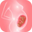 Track pregnancy & baby growth icon
