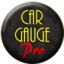 Car Gauge Pro (OBD2 + Enhance)