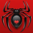 Spinne Solitär icon