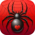 Spider Solitair Kaartspel icon