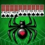 Paciência Spider - Carta icon