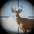 Trophy Hunter: caza de trofeos icon
