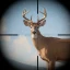 Trophy Hunter: caza de trofeos icon