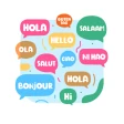 Languager: Aprenda um idioma icon