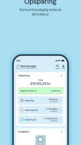 Bank Norwegian screenshot