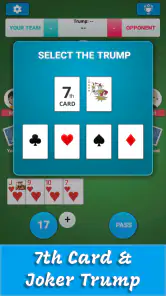 Card Game 29 screenshot