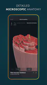 Complete Anatomy - Learn in 3D screenshot
