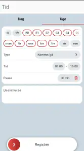 Danløn screenshot