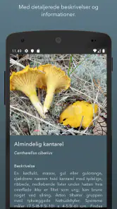 Danmarks svampeatlas screenshot