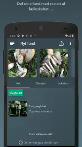 Danmarks svampeatlas screenshot