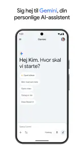 Google Gemini screenshot