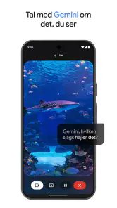 Google Gemini screenshot
