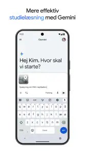 Google Gemini screenshot
